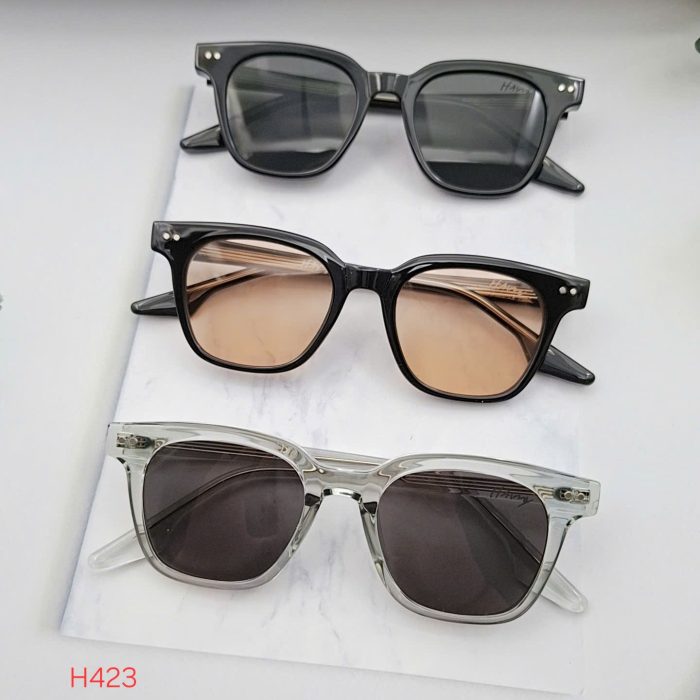 Kính mát HAIMY H423